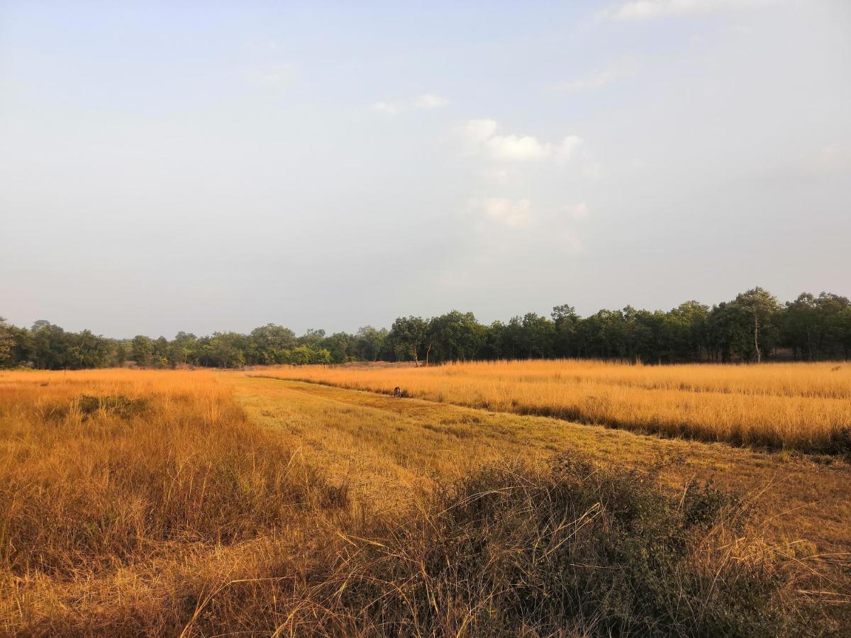 Bandhavgarh Jungle Lodge Tāla Extérieur photo